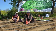 Şifalı Bitkilerin Yeni Üreticileri, İzmirli Çiftçi Kadınlar